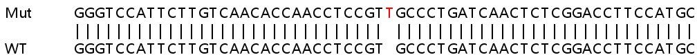 Sanger Sequencing - Human ASXL1 knockout HeLa cell line (AB265789), expandable thumbnail