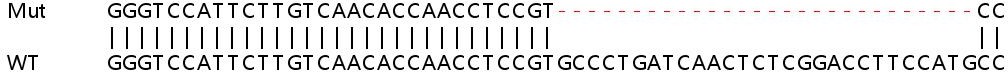 Sanger Sequencing - Human ASXL1 knockout HeLa cell line (AB265789), expandable thumbnail