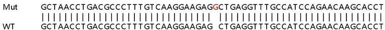 Sanger Sequencing - Human ATF3 knockout HCT116 cell line (AB266872)