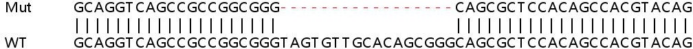 Sanger Sequencing - Human ATG14 (ATG14L) knockout HeLa cell lysate (AB258319), expandable thumbnail