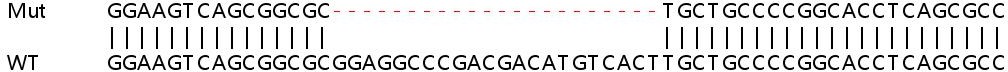 Sanger Sequencing - Human ATG16L1 knockout HeLa cell lysate (AB256843), expandable thumbnail