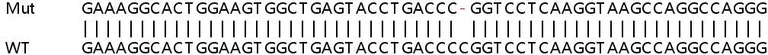 Sanger Sequencing - Human ATG3 knockout HEK-293T cell line (AB266707)