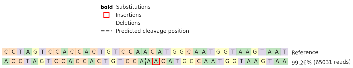 Human ATG3 knockout HeLa cell line