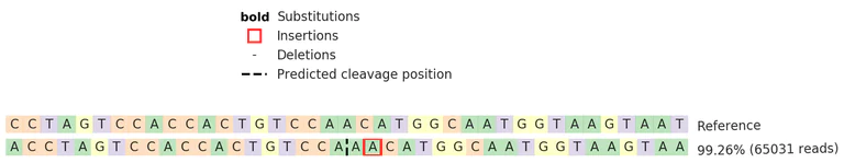 Next Generation Sequencing - Human ATG3 knockout HeLa cell line (AB274921)