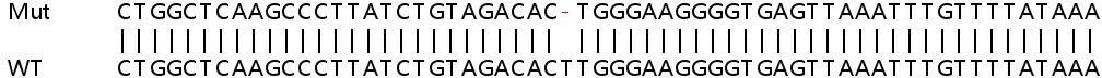 Sanger Sequencing - Human ATG4A knockout HeLa cell lysate (AB257846), expandable thumbnail