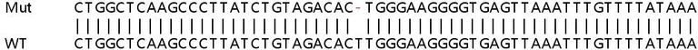 Sanger Sequencing - Human ATG4A knockout HeLa cell lysate (AB257846)