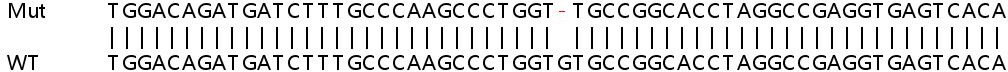 Sanger Sequencing - Human ATG4B knockout HeLa cell lysate (AB257364), expandable thumbnail