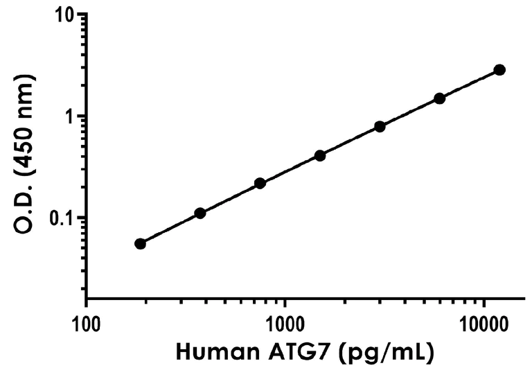 Sandwich ELISA - Human ATG7 ELISA Kit (AB288169)