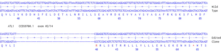 Next Generation Sequencing - Human ATL1 knockout A549 cell line (AB326073)