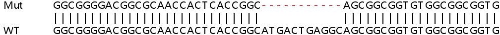 Sanger Sequencing - Human ATOX1 knockout HEK-293T cell line (AB266651), expandable thumbnail