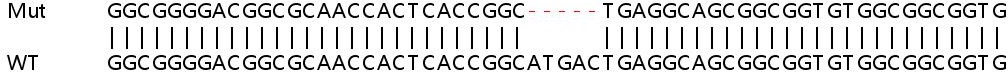 Sanger Sequencing - Human ATOX1 knockout HEK-293T cell line (AB266651), expandable thumbnail