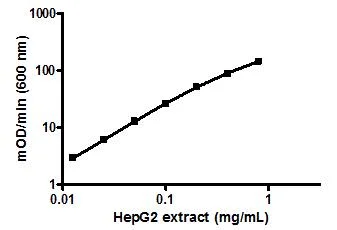 Sandwich ELISA - Human ATP Synthase ELISA Kit (Complex V) Profiling ELISA Kit (AB124539)