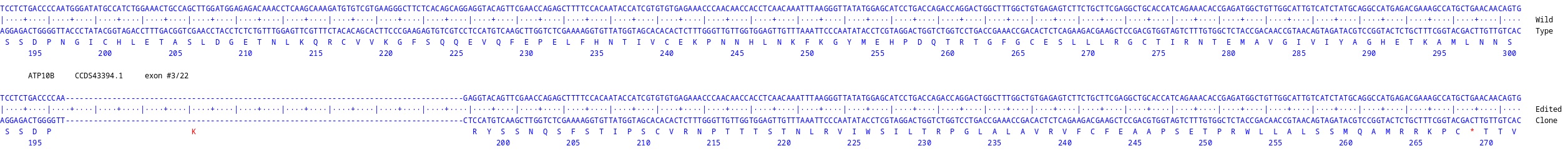 Next Generation Sequencing - Human ATP10B Knockout LS513 cell line (AB324258), expandable thumbnail