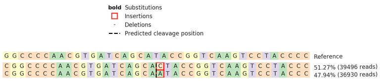 Next Generation Sequencing - Human ATP13A2 knockout HEK-293 cell lysate (AB274983)
