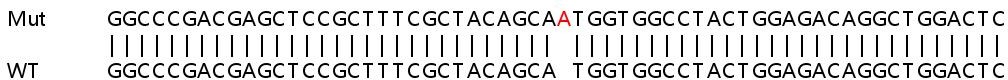 Sanger Sequencing - Human ATP5E knockout HeLa cell lysate (AB263102), expandable thumbnail