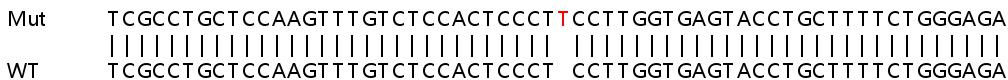Sanger Sequencing - Human ATP5G2 knockout HEK-293T cell line (AB266394)