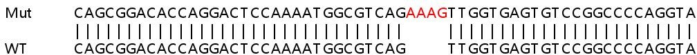 Sanger Sequencing - Human ATP5J2 knockout HEK-293T cell lysate (AB258789)
