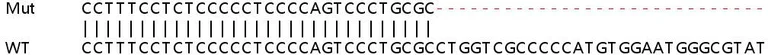 Sanger Sequencing - Human ATP5SL knockout HeLa cell line (AB265953)