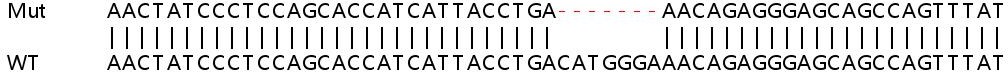 Sanger Sequencing - Human ATRIP knockout HEK-293T cell line (AB267261), expandable thumbnail
