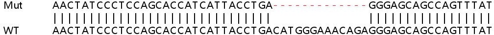 Sanger Sequencing - Human ATRIP knockout HEK-293T cell line (AB267261), expandable thumbnail