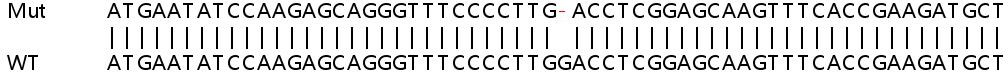 Sanger Sequencing - Human AXIN1 (Axin 1) knockout HeLa cell line (AB265521), expandable thumbnail