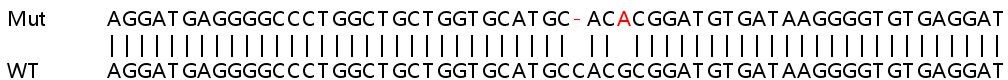 Sanger Sequencing - Human AXL knockout HeLa cell lysate (AB257151), expandable thumbnail