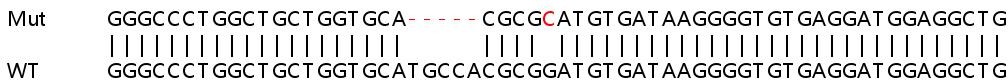 Sanger Sequencing - Human AXL knockout HeLa cell lysate (AB257151), expandable thumbnail