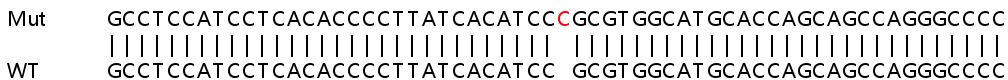 Sanger Sequencing - Human AXL knockout HeLa cell lysate (AB257152), expandable thumbnail