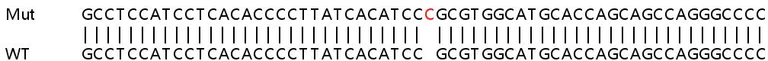 Sanger Sequencing - Human AXL knockout HeLa cell lysate (AB257152)