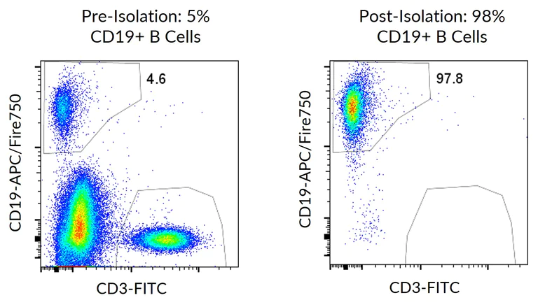 Flow Cytometry - Human B Cell Isolation Kit (AB322031)