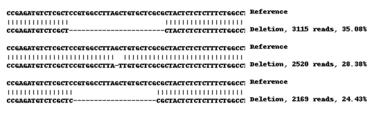 Next Generation Sequencing - Human B2M (beta 2 Microglobulin) knockout A-431 cell line (AB261893)