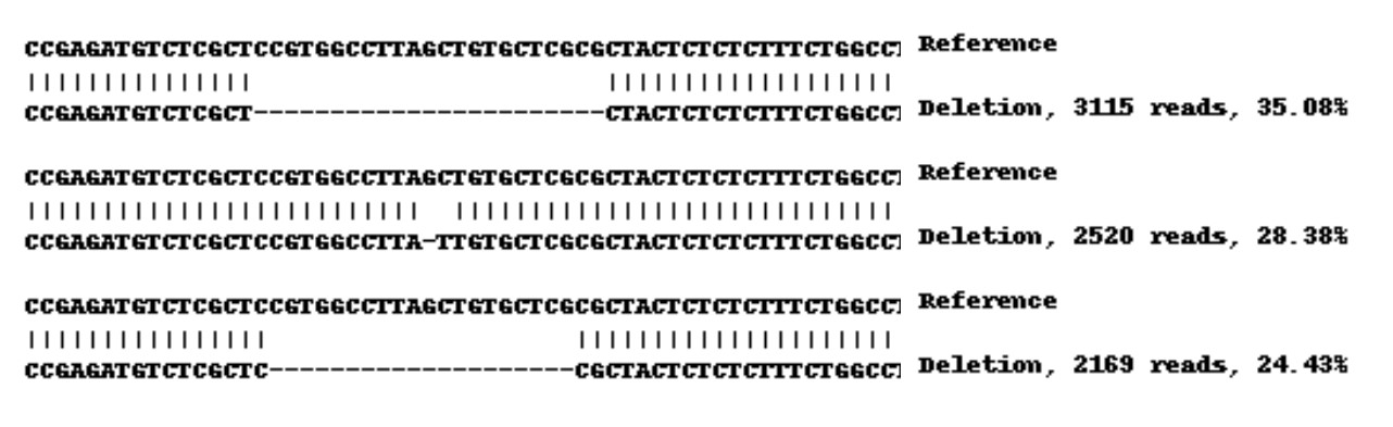 Next Generation Sequencing - Human B2M (beta 2 Microglobulin) knockout A-431 cell lysate (AB261702), expandable thumbnail