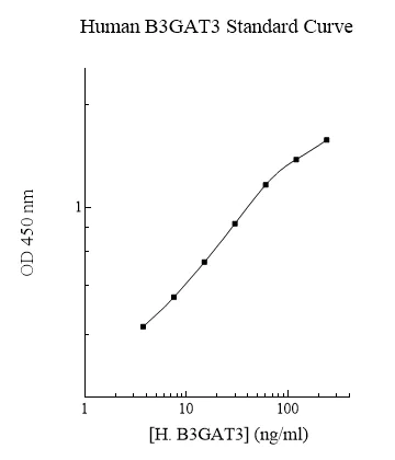Sandwich ELISA - Human B3GAT3 ELISA Kit (AB283994)