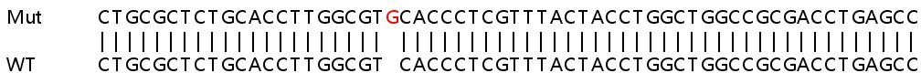 Sanger Sequencing - Human B4GALT1 knockout HeLa cell lysate (AB258323), expandable thumbnail
