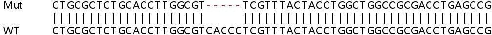 Sanger Sequencing - Human B4GALT1 knockout HeLa cell lysate (AB258323), expandable thumbnail