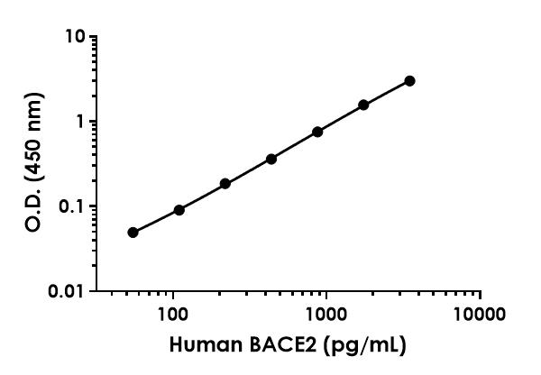 Sandwich ELISA - Human BACE2 ELISA Kit (AB289899)