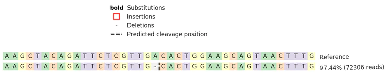 Next Generation Sequencing - Human BACE2 knockout SW480 cell line (AB269622)