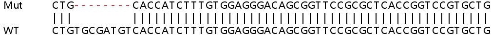 Sanger Sequencing - Human BACH1 (BACH1.3) knockout HeLa cell line (AB265322), expandable thumbnail