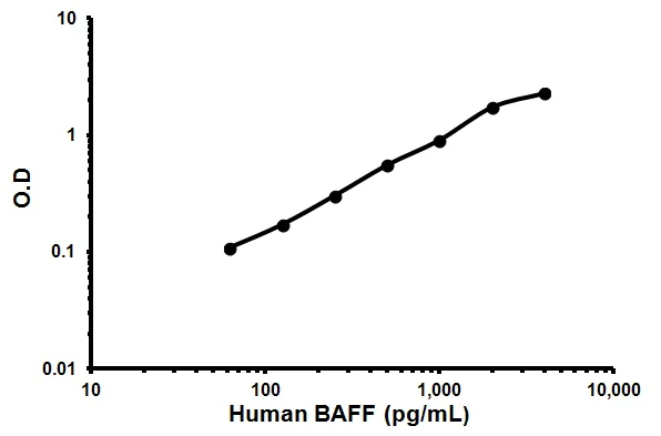 Sandwich ELISA - Human BAFF ELISA Kit (TNFSF13B) (AB119579)