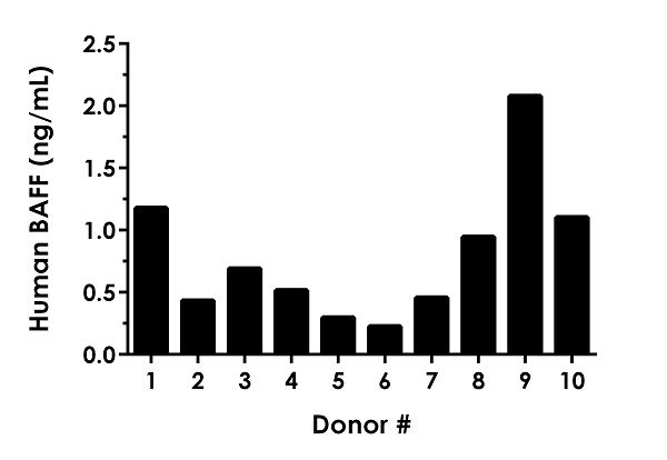 Sandwich ELISA - Human BAFF ELISA Kit (TNFSF13B) (AB188391)