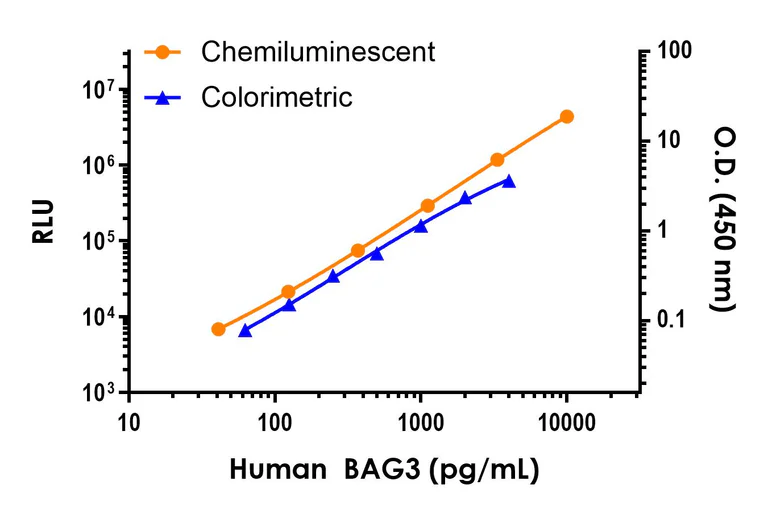 Sandwich ELISA - Human BAG3 ELISA Kit, Chemiluminescent (AB325726)