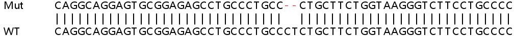 Sanger Sequencing - Human BAK1 (Bak) knockout HeLa cell line (AB265277), expandable thumbnail