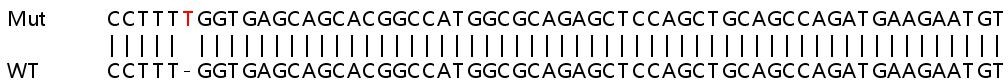Sanger Sequencing - Human BAMBI (NMA) knockout HEK-293T cell line (AB265061), expandable thumbnail