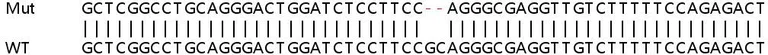 Sanger Sequencing - Human BATF2 (SARI) knockout A549 cell line (AB267051)
