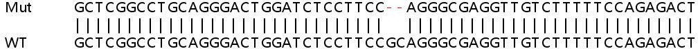 Sanger Sequencing - Human BATF2 (SARI) knockout A549 cell lysate (AB257855), expandable thumbnail