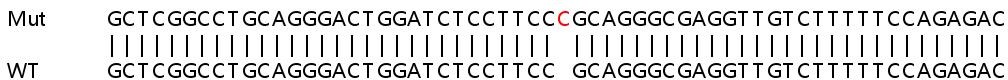 Sanger Sequencing - Human BATF2 (SARI) knockout A549 cell lysate (AB257855), expandable thumbnail