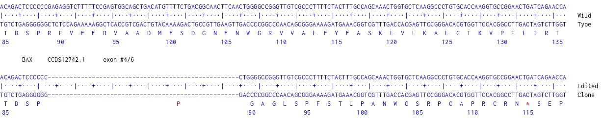 Next Generation Sequencing - Human BAX knockout MCF7 cell line (AB286574), expandable thumbnail