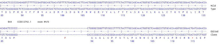 Next Generation Sequencing - Human BAX knockout MCF7 cell line (AB286574)