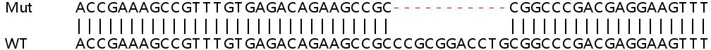 Sanger Sequencing - Human BAZ1A (ACF1) knockout HeLa cell lysate (AB257856), expandable thumbnail