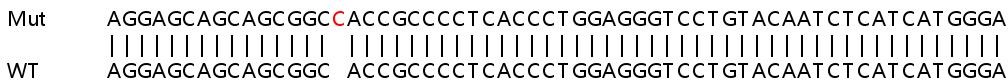 Sanger Sequencing - Human BBC3 (PUMA) knockout HeLa cell lysate (AB256848), expandable thumbnail